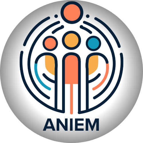 Logo Aniem V